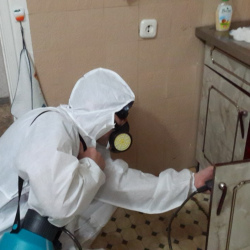 Дезинфекция от муравьев в квартире Площадь Гагарина метро Москвы
